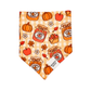 Pumpkin Patch Preserves Bandana