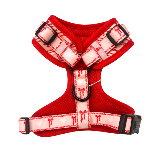 Coquette Pup Adjustable Harness